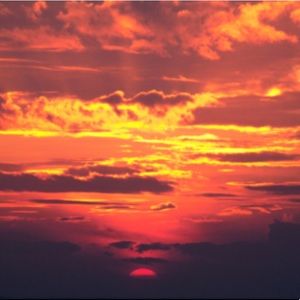 Meet your Posher, Hailey